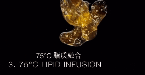 带面霜+黑绷带眼霜抗皱紧实淡化纹路凯发k8“贵妇”都在用！赫莲娜黑绷(图11)